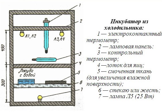 Как изготовить инкубатор из холодильника самостоятельно